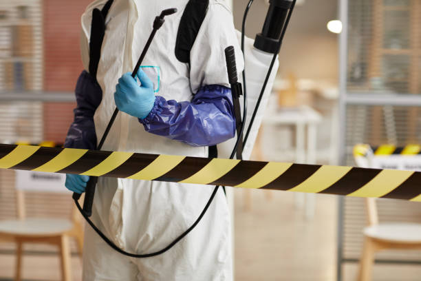Professional Blood Cleanup technician working in Blue Point, NY